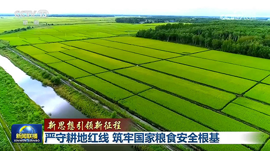 新思想引领新征程｜严守耕地红线 筑牢国家粮食安全根基