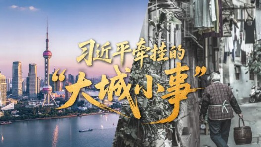 习近平牵挂的“大城小事”