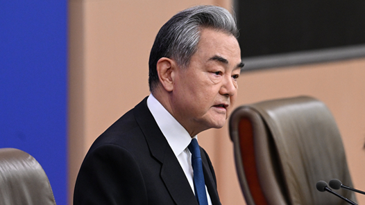王毅会见埃及外长阿卜杜勒阿提