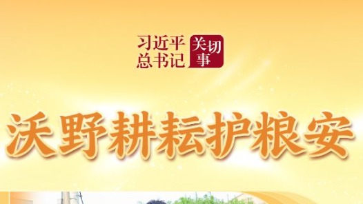 习近平总书记关切事｜沃野耕耘护粮安