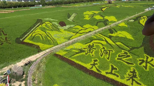 E法同行 法润塞上｜银川：法治光芒照耀塞上江南