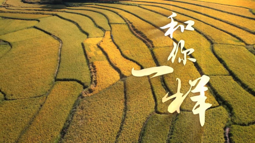 和你一样