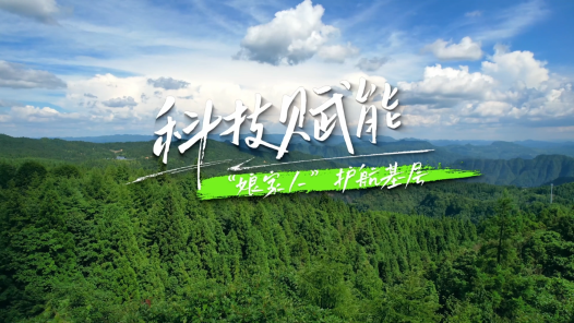 科技赋能，娘家人护航基层