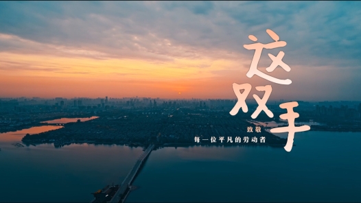 这双手