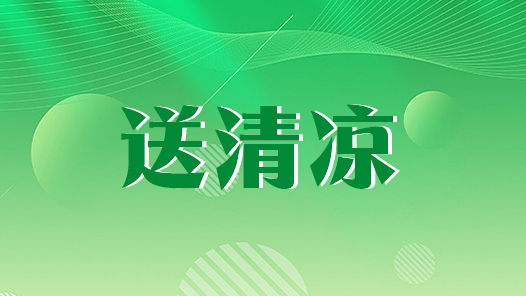 河北省河间市总工会开展2026年度“夏送清凉”活动