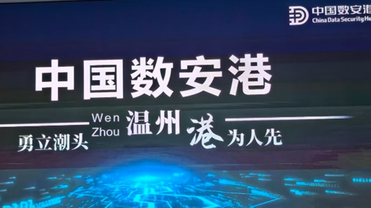活力中国调研行｜“数”生万物，“安”心生长