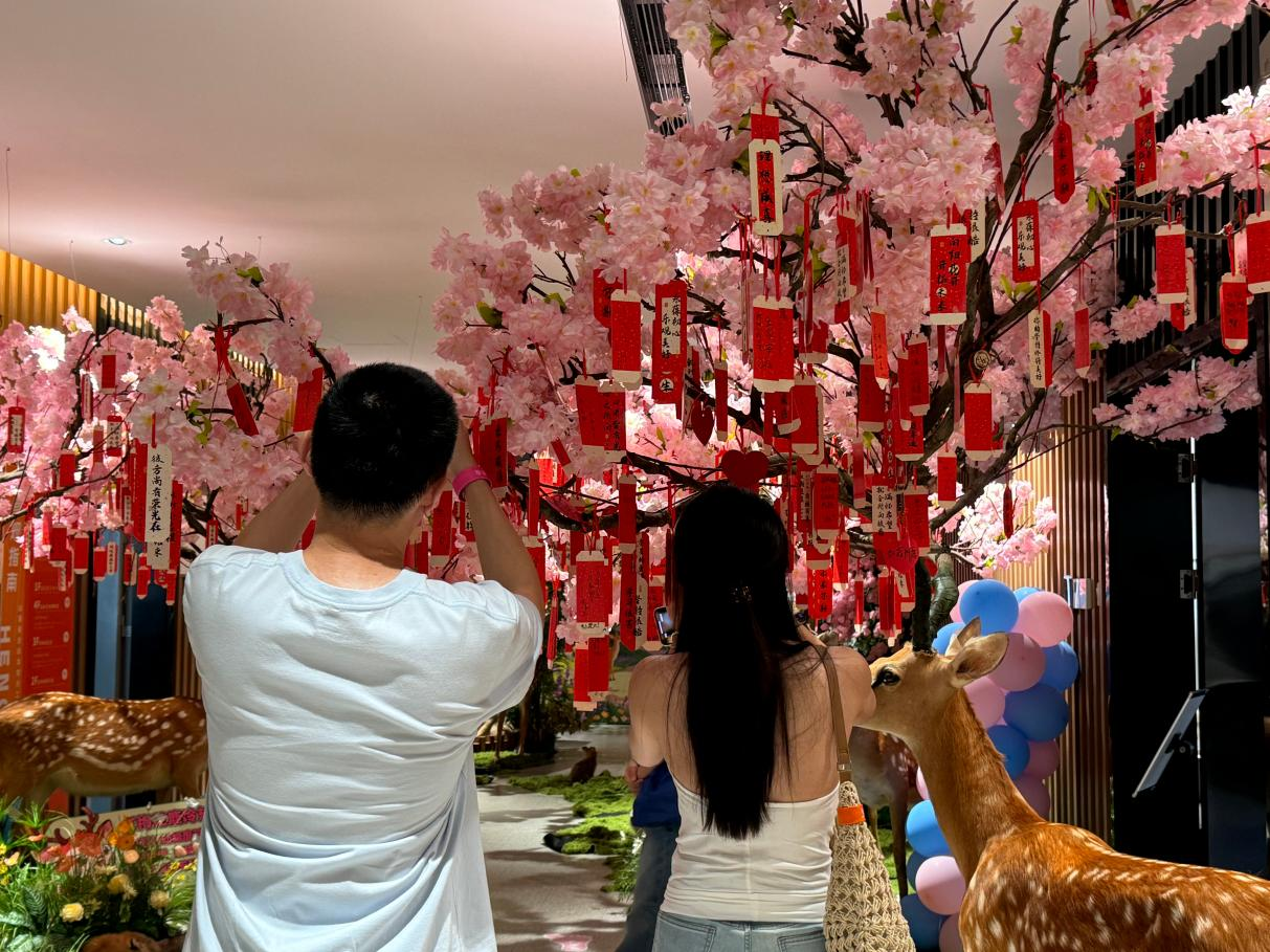 图片2 图片2