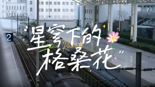 星穹下的格桑花