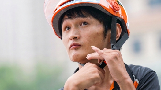 逐光而行