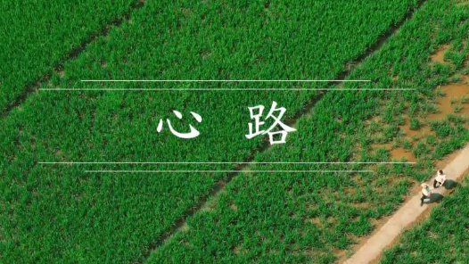 心路