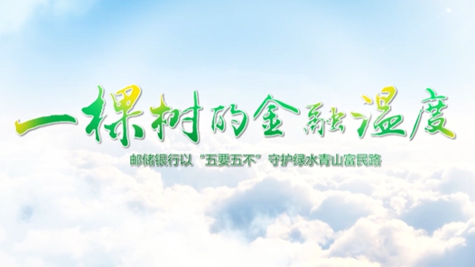 一棵树的金融故事