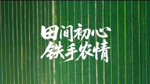 田间初心 铁手农情