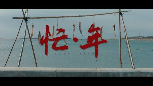 忙·年