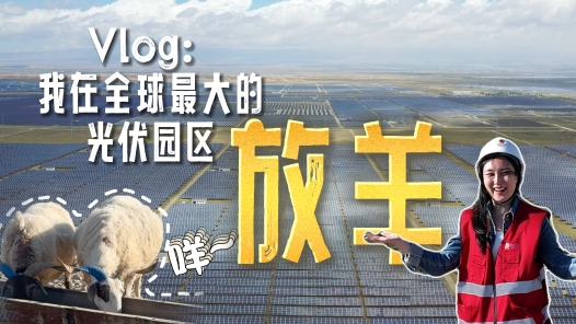 Vlog：我在全球最大的光伏园区放羊
