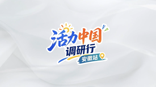活力中国调研行｜用科技让城市更安全