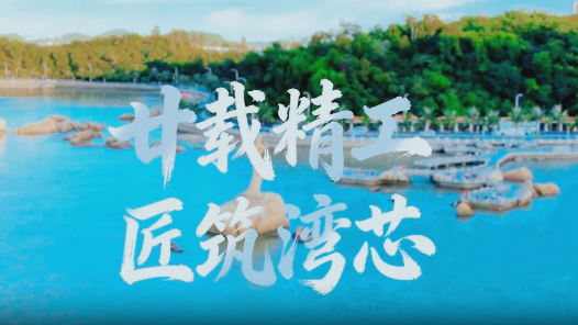 廿载精工 匠筑湾芯——程丽霞