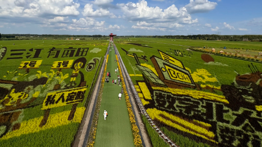 扎根中国大地办大学｜根植沃土 强农报国