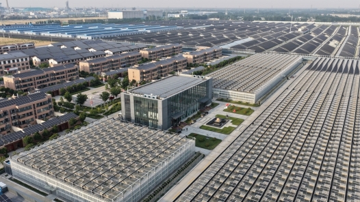 活力中国调研行｜反季樱桃、四层草莓、鲈鱼公寓：一个工业园区的“农业奇观”之旅