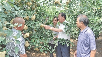 太行山深处的“拓荒牛”
