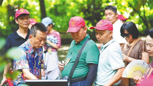 “筑梦想环岛专列”再出发 海南省乡镇、边远地区一线教育工作者开启健康游