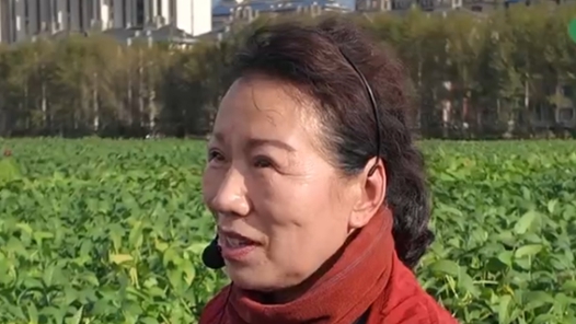 活力中国调研行｜黑土地会“说话”，他们听了40多年