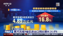 视频｜今年前8个月 黄河流域9省区进出口同比增长16.8%