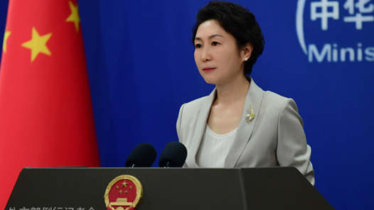外交部介绍习近平主席出席金砖国家领导人会晤安排