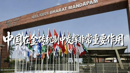 大国外交零时差｜印度专家狄伯杰：中国在金砖机制中发挥非常重要作用