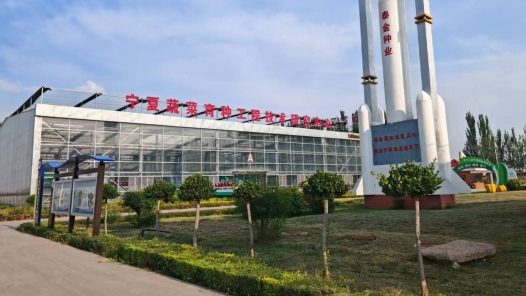 活力中国调研行｜一粒种子“像金子一样珍贵”，塞上优品何以畅销海外？
