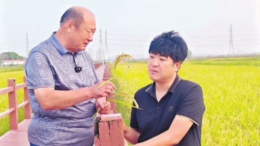 郑加林：稻香里走出共富路