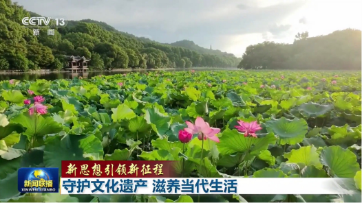 新思想引领新征程｜守护文化遗产 滋养当代生活