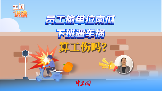 工间说法丨员工偷单位南瓜下班遇车祸，算工伤吗？