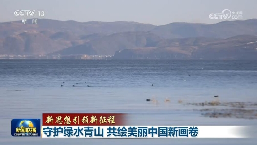 新思想引领新征程丨守护绿水青山 共绘美丽中国新画卷