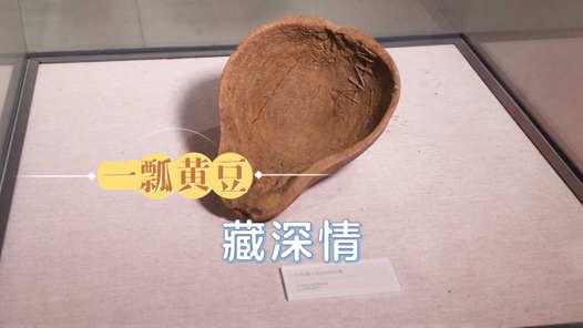 赓续长征精神 奋进复兴征程｜一瓢黄豆藏深情