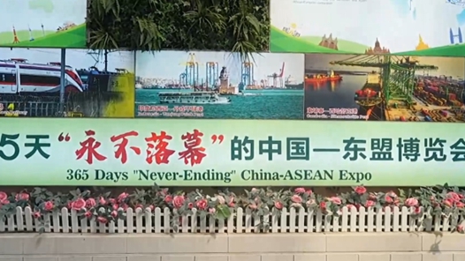 活力中国调研行｜在南宁，打造“永不落幕”的东博会