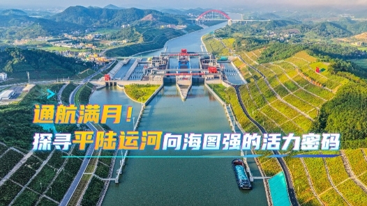 活力中国调研行｜通航满月！探寻平陆运河向海图强的活力密码