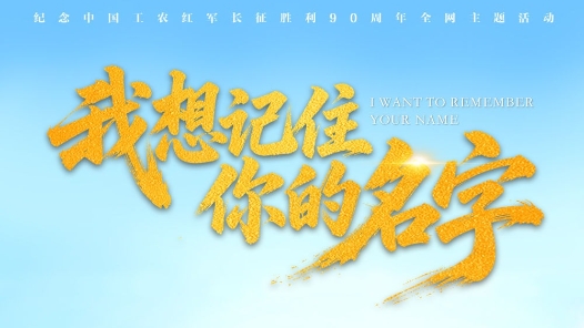 我想记住你的名字
