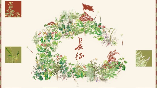 见证｜草木见证可歌可泣的长征故事