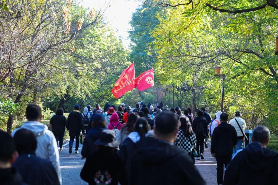 图片4 图片4